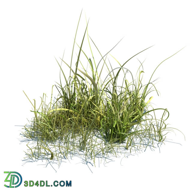 ArchModels Vol124 (039) simple grass v3