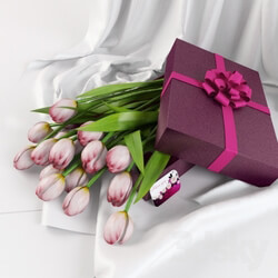 Plant - tulips in a gift box 