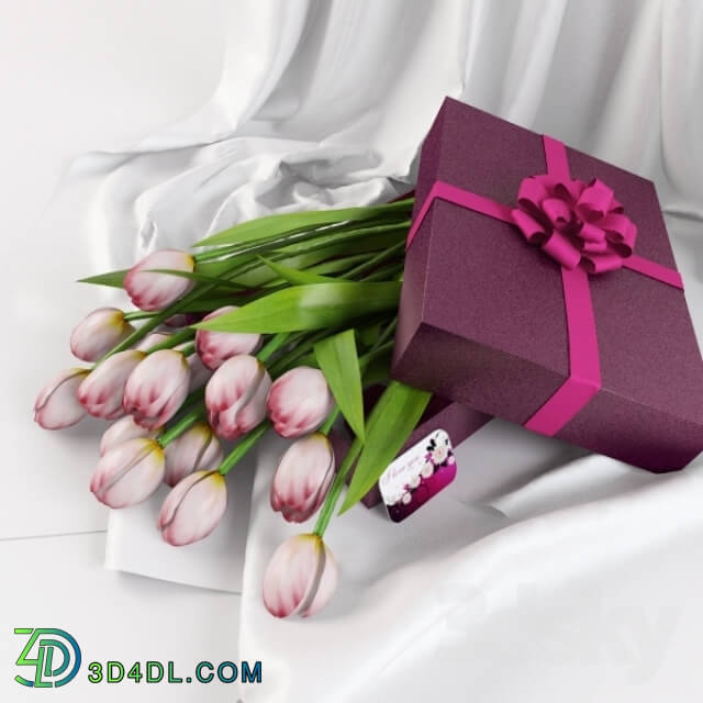 Plant - tulips in a gift box