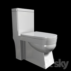 Toilet and Bidet - Flush toilet 