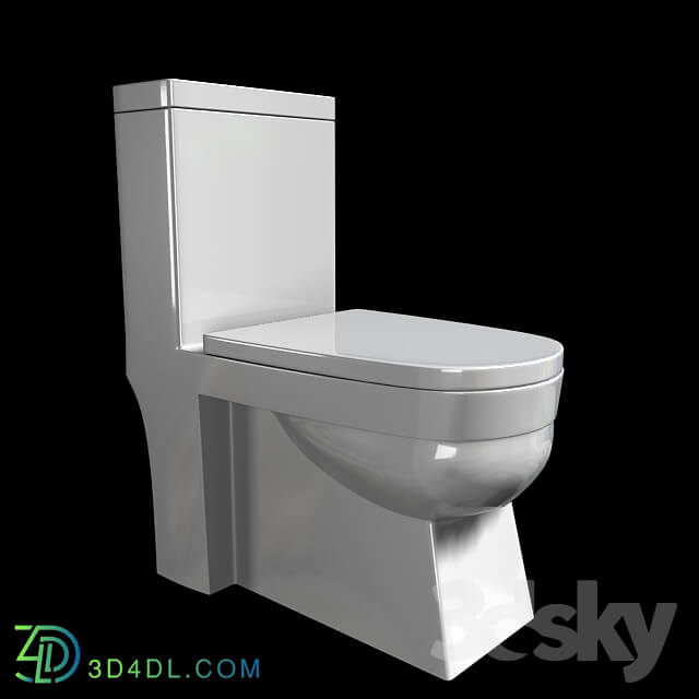 Toilet and Bidet - Flush toilet