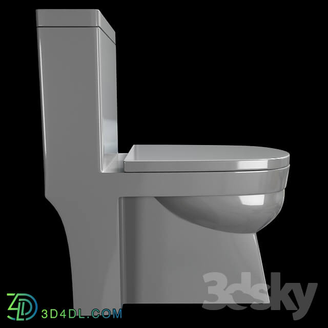 Toilet and Bidet - Flush toilet