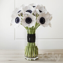 Plant - Bouquet _white anemone_ 