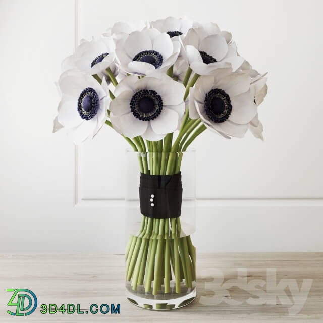 Plant - Bouquet _white anemone_