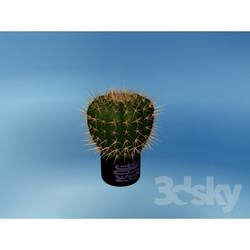 Plant - Cactus 