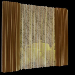 Avshare Curtain (009) 