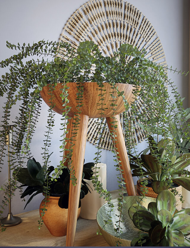 Decorative set - Plant decor set - 1