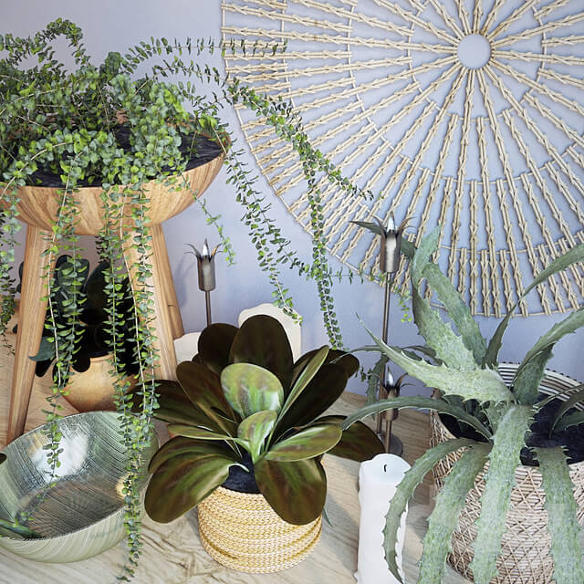 Decorative set - Plant decor set - 1
