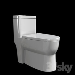 Toilet and Bidet - Flush toilet 