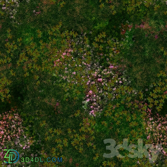 Natural materials - Lawn texture for 3dmax