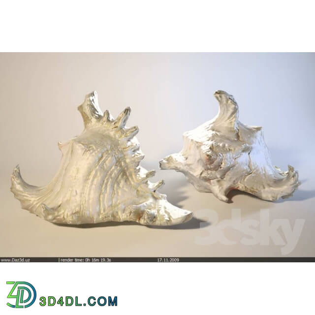 Other decorative objects - Barnacle 2