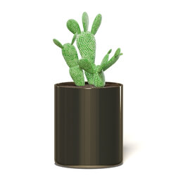 CGaxis Vol111 (14) cactus in metal pot 