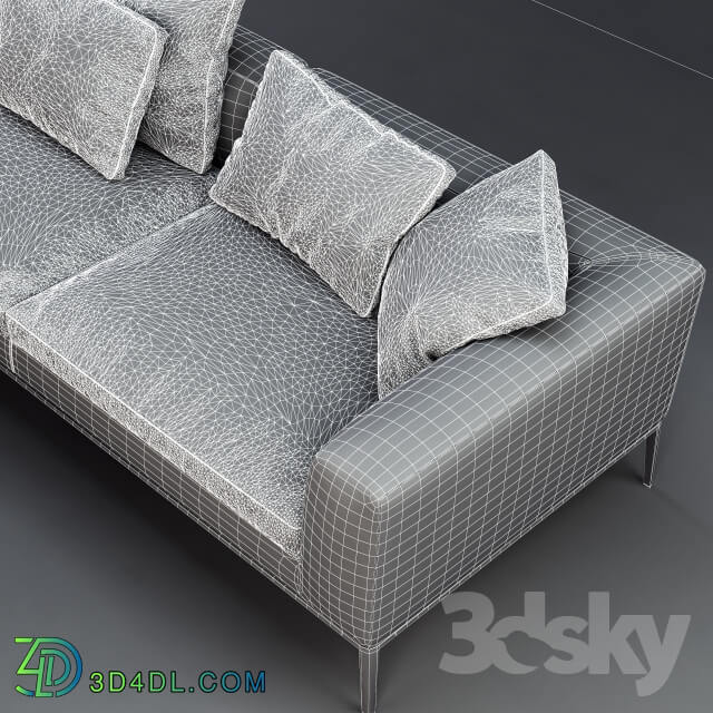 Sofa - B _B Italia MICHEL Leather Sofa