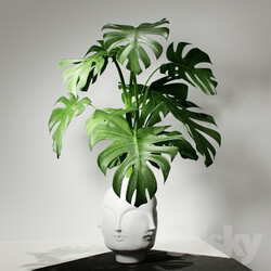 Plant - Monstera vase DORA MAAR by Jonathan Adler 