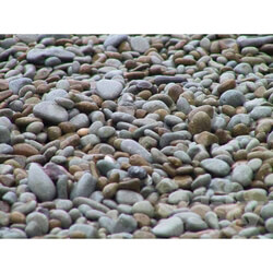 Stone - pebbles 