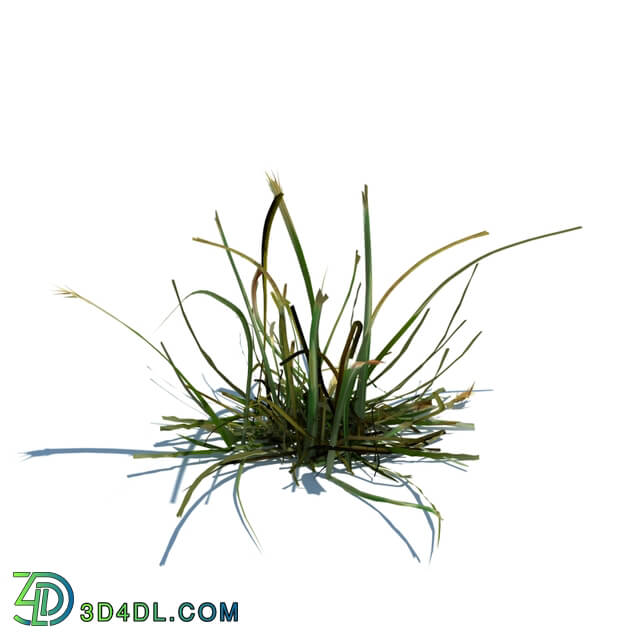 ArchModels Vol124 (043) simple grass v1