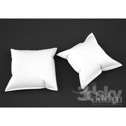 Pillows - 2 Cushions 