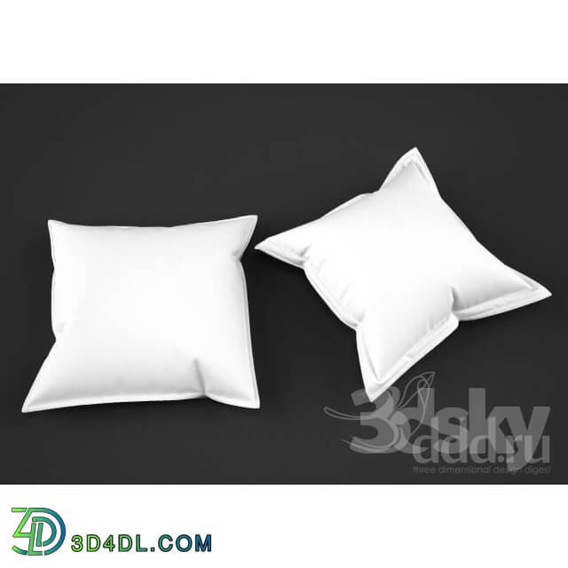 Pillows - 2 Cushions