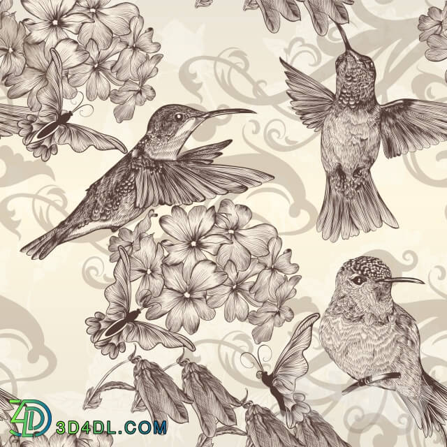 Wall covering - Kolibri_oboi_1