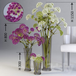 Plant - Three floral compositions of different heights 