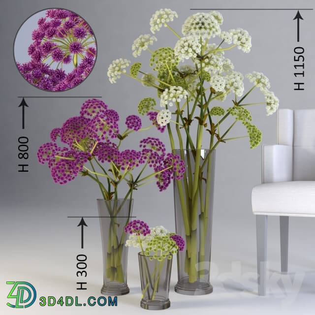 Plant - Three floral compositions of different heights