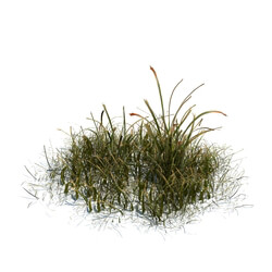 ArchModels Vol124 (045) simple grass v3 