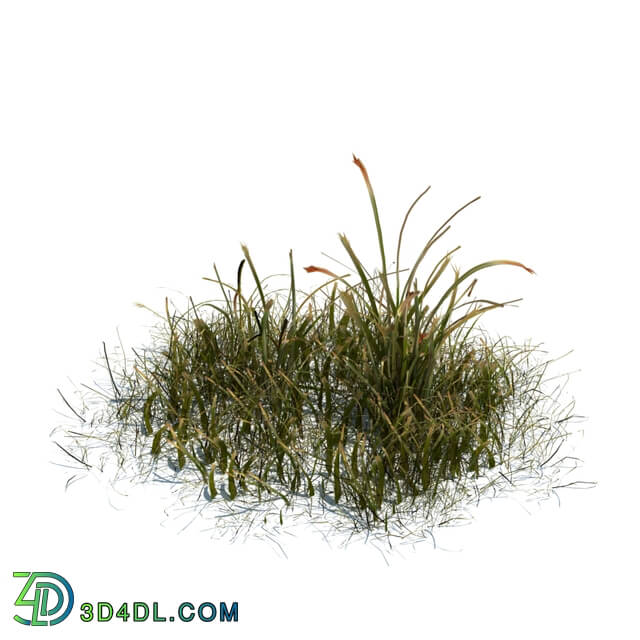 ArchModels Vol124 (045) simple grass v3
