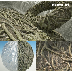 RD-textures Roots 01 