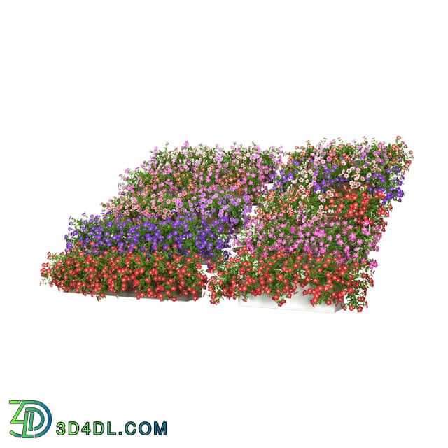 3dMentor HQFlowers3 petunia (01)