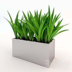 Plant - Artificial potted plant 