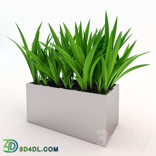 Plant - Artificial potted plant