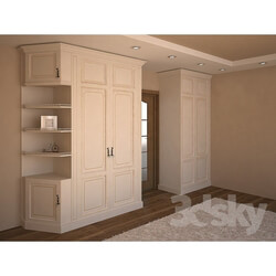 Wardrobe _ Display cabinets - 2 Cabinet 