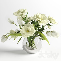 Plant - Bouquet of White Flowers 