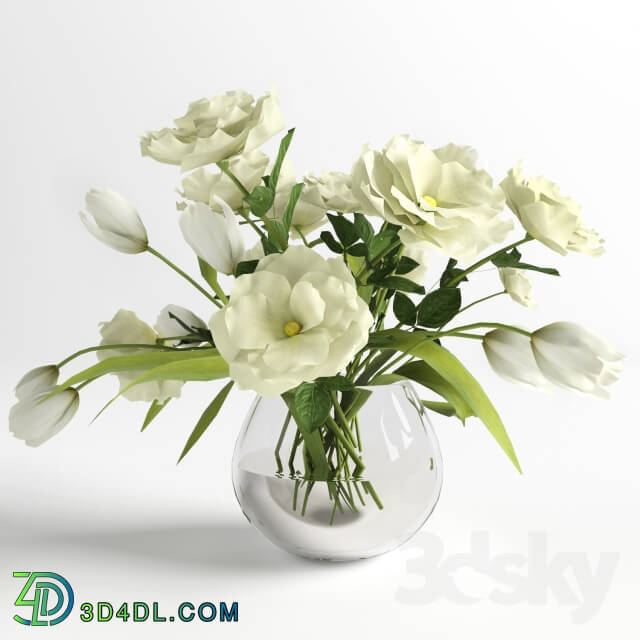 Plant - Bouquet of White Flowers