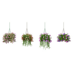 3dMentor HQFlowers3 petunia (02) 