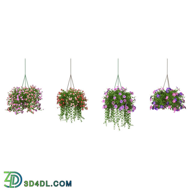 3dMentor HQFlowers3 petunia (02)