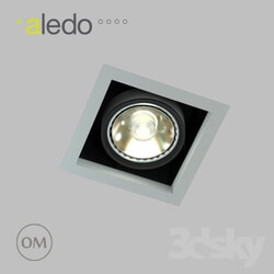 Spot light - 17W Cardan Module 