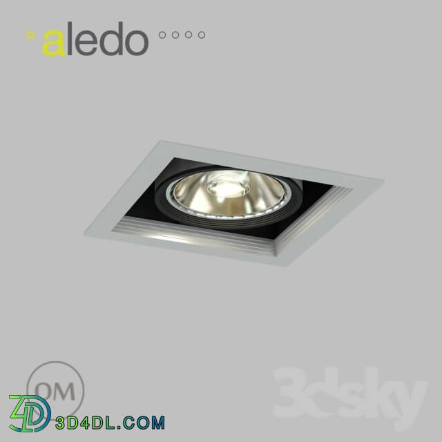 Spot light - 17W Cardan Module