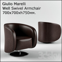 Arm chair - Giulio_Marelli_Well 