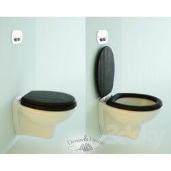 Toilet and Bidet - Toilet Devon _ Devon 
