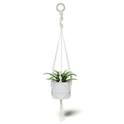 CGaxis Vol111 (20) plant in white hanging pot 