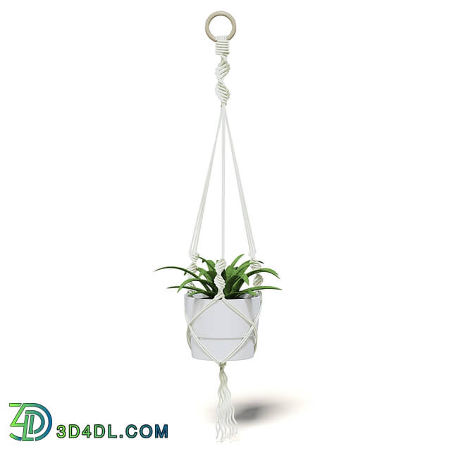 CGaxis Vol111 (20) plant in white hanging pot