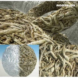 RD-textures Roots 03 