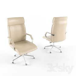 Office furniture - Executive office chair 