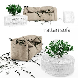 Sofa - Rattan Outdoor Sofa with Ivy 