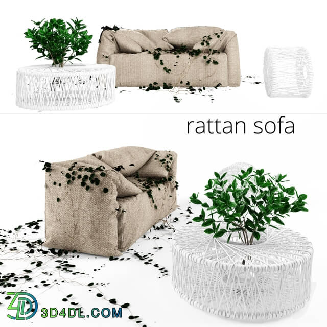 Sofa - Rattan Outdoor Sofa with Ivy