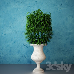 Plant - Vase Of Leaves 