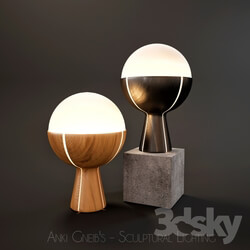 Table lamp - Anki Gneib__39_s - Sculptural Lighting 