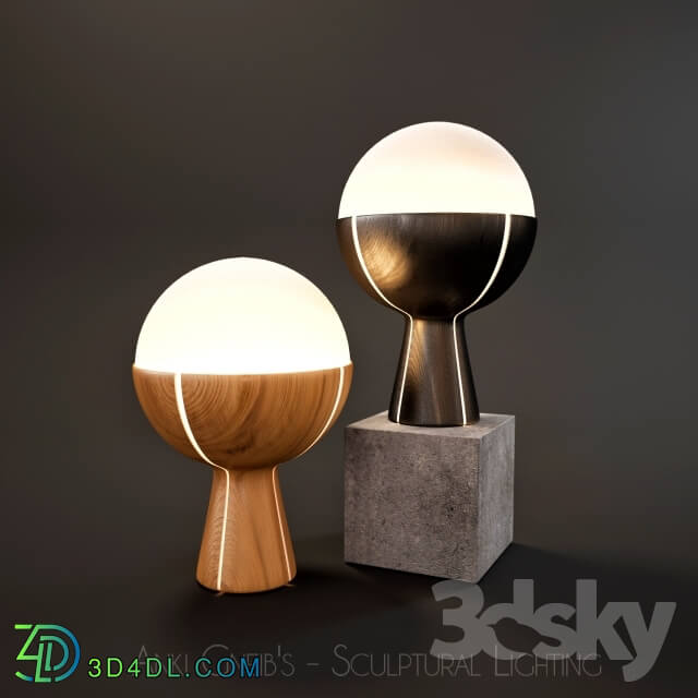 Table lamp - Anki Gneib__39_s - Sculptural Lighting