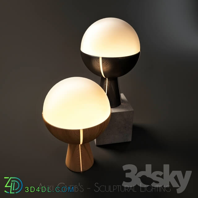 Table lamp - Anki Gneib__39_s - Sculptural Lighting